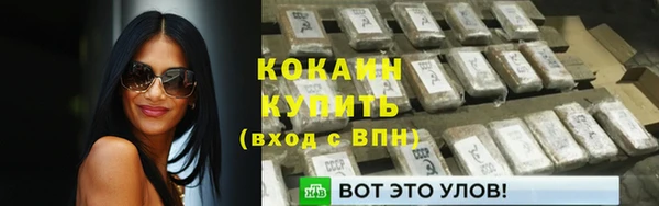 меф Вяземский