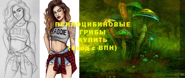 сатива Вязники