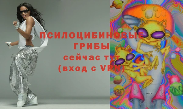 меф Вяземский
