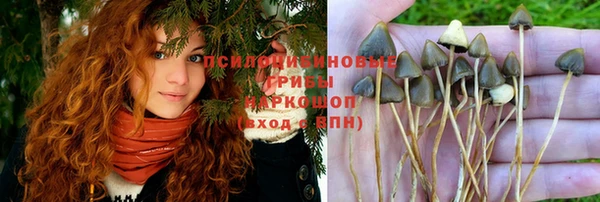 меф Вяземский