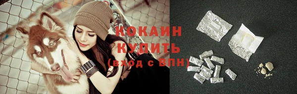 сатива Вязники