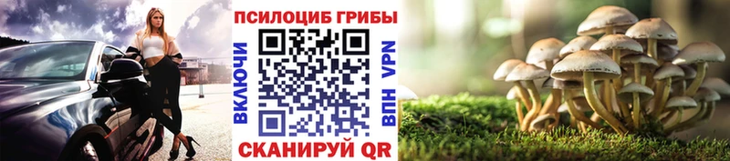 Псилоцибиновые грибы мицелий  купить   Гремячинск 