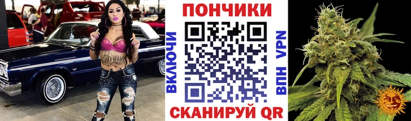 OMG   Гремячинск  Канабис сатива  хочу наркоту 